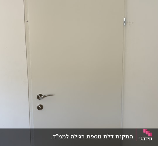דלת פנים קו אפס בצבע בהיר עם ידית ניקל מותקנת בבית
